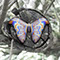 Isolde butterflyer