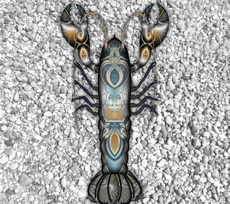 akoni lobster