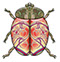 Dorset Creatures Ladybug